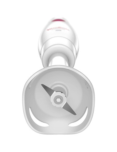 mixeur plangeant MOULINEX DD12A TURBO MIX