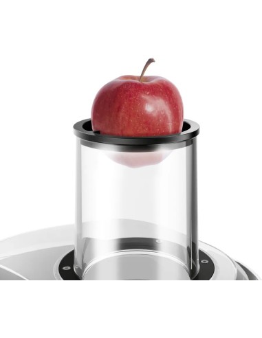 Centrifugeuse VitaJuice 4 1000 W Argent, noir MES4000