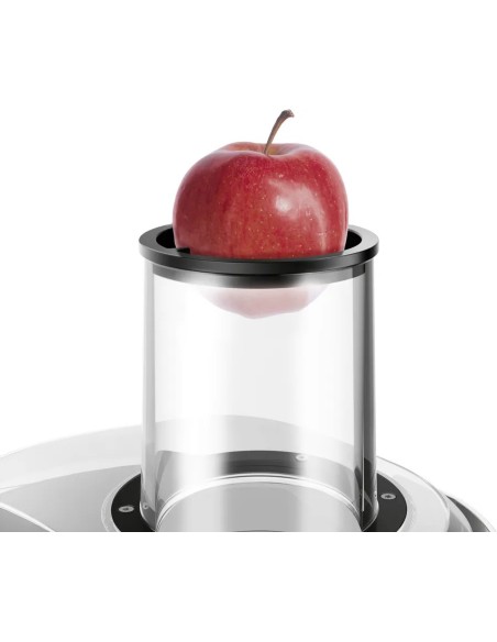 Centrifugeuse VitaJuice 4 1000 W Argent, noir MES4000