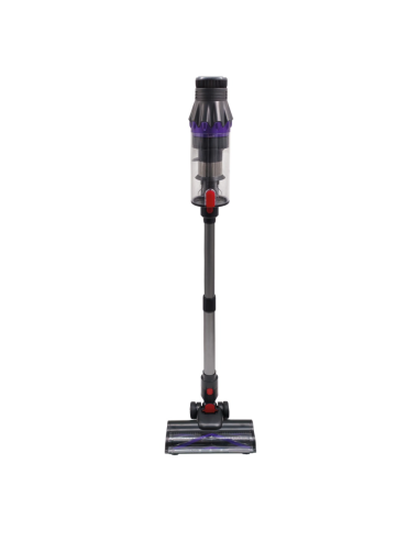 ASPIRATEUR SCHNEIDER BALAI 250W