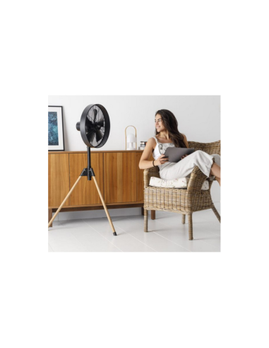 VENTILATEUR TAURUS FOREST