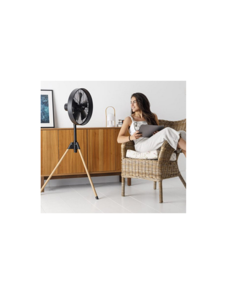 VENTILATEUR TAURUS FOREST