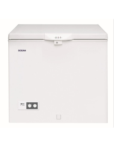 CONGELATEUR OCEAN 310L BLANC