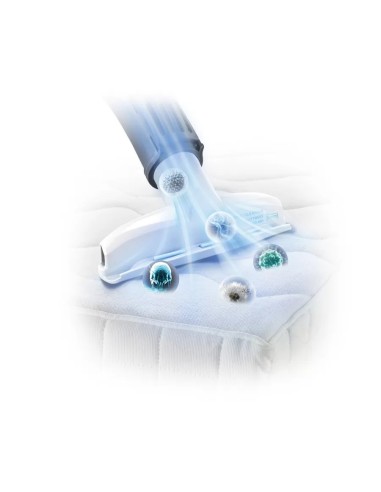 Série 4 Wet & dry vacuum cleaner BWD420HYG