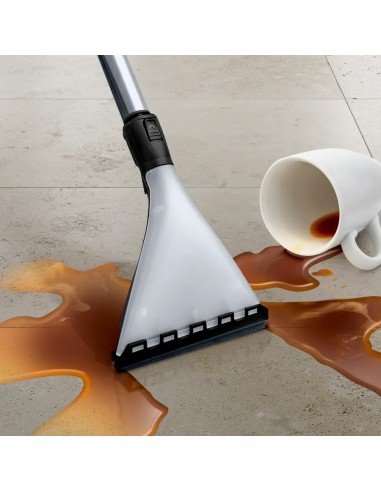 Série 4 Wet & dry vacuum cleaner BWD420HYG