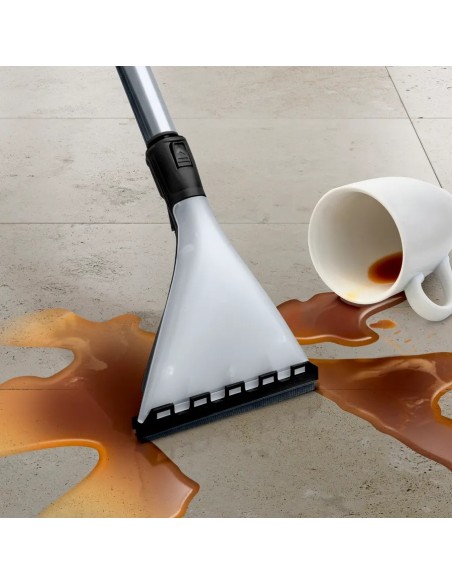 Série 4 Wet & dry vacuum cleaner BWD420HYG