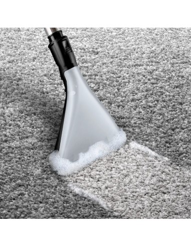 Série 4 Wet & dry vacuum cleaner BWD420HYG