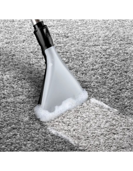 Série 4 Wet & dry vacuum cleaner BWD420HYG