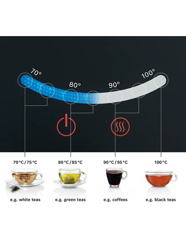 Bouilloire 1.7 l Acier inoxydable TWK7203