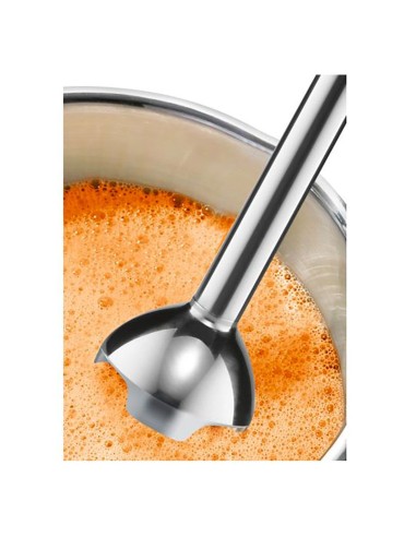 BOSCH MSM24100 Mixeur plongeant