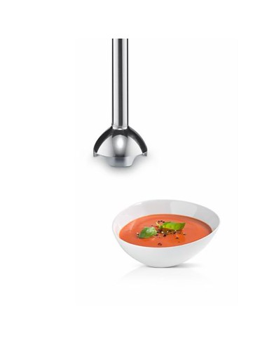 BOSCH MSM24100 Mixeur plongeant