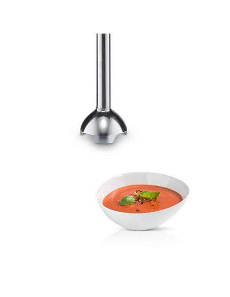 BOSCH MSM24100 Mixeur plongeant