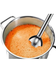 BOSCH MSM2650B Mixeur plangeant 2