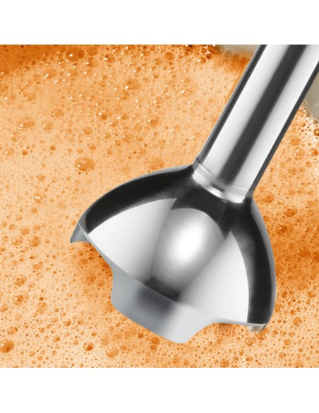 Mixeur plongeant CleverMixx 600 W Noir, anthracite